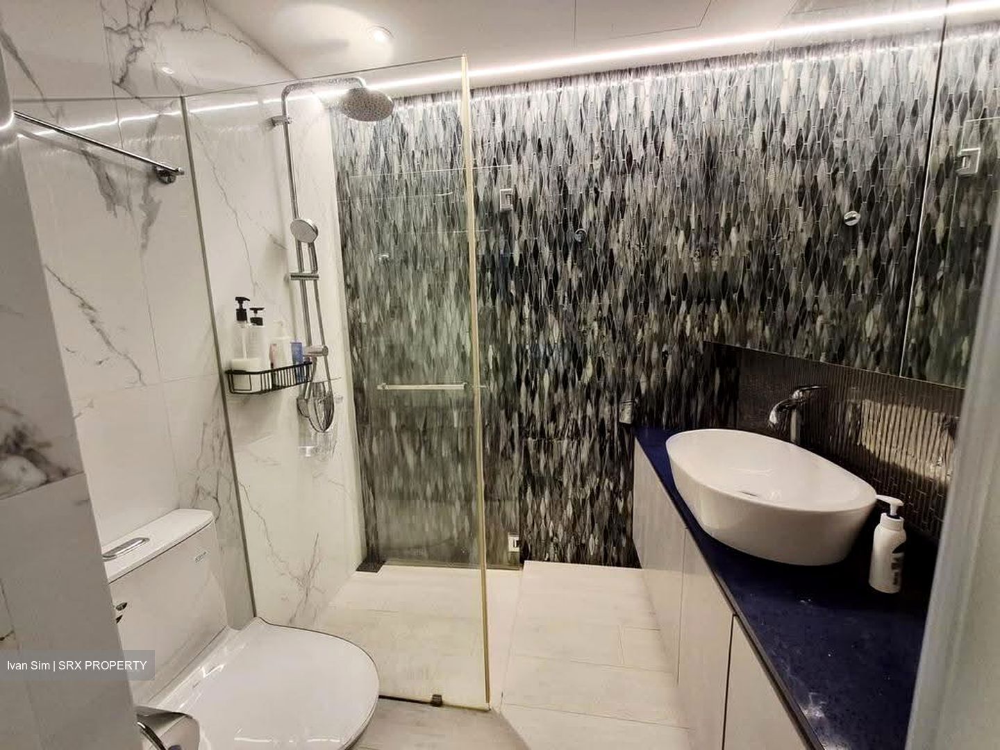 Whitescape (D15), Apartment #613038231